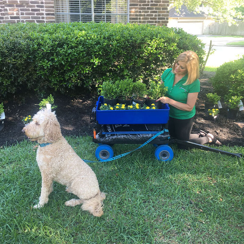 Mighty Max Multi-Purpose Dock Cart Wagon, Blue Tub image number 5